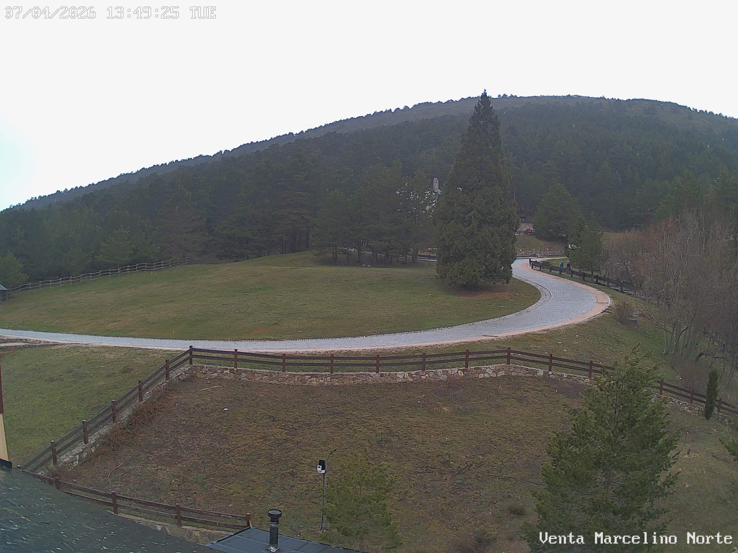 Webcams Puerto de Cotos