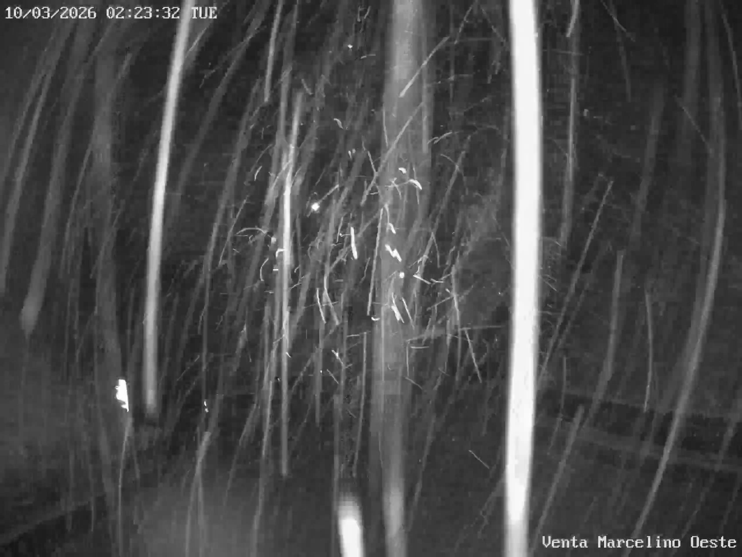 Webcam en Puerto - Estaci&oacute;n
